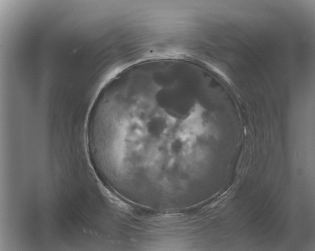 X0000062621471200601040952