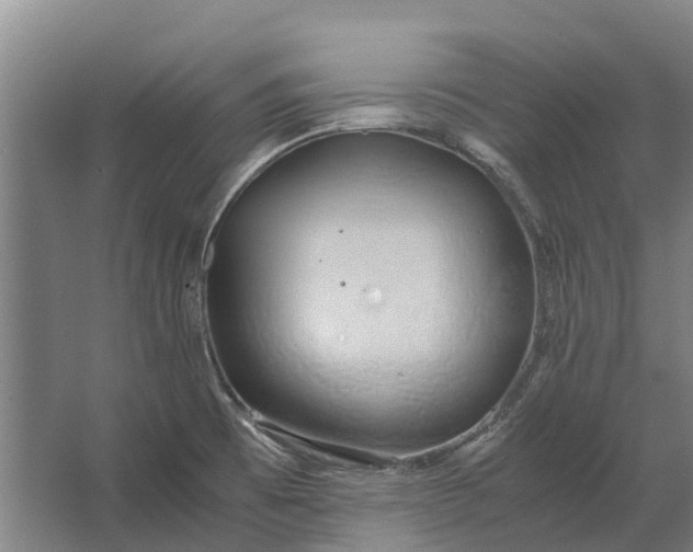 X0000062621473200601040952