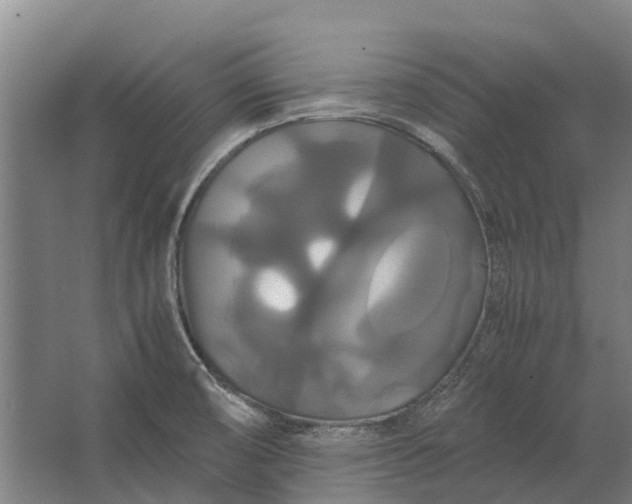 X0000062621474200601040952