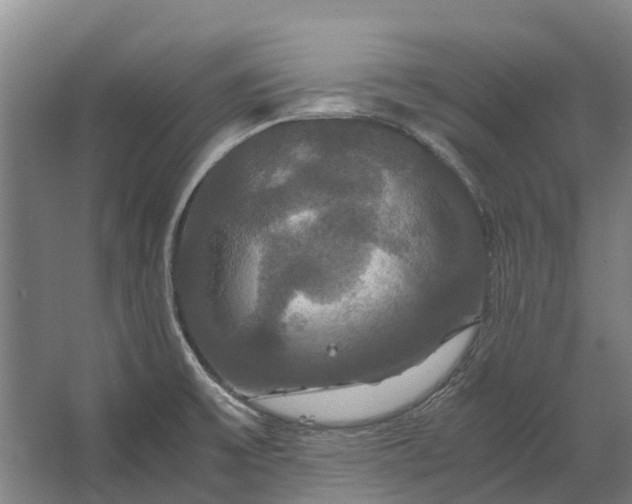 X0000062621475200601040952