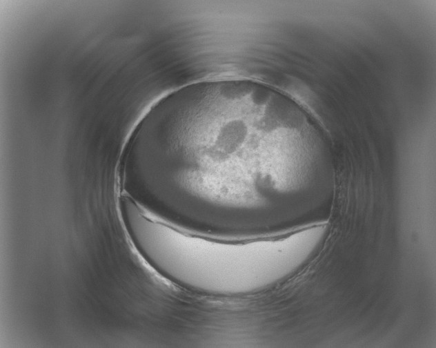 X0000062621476200601040952