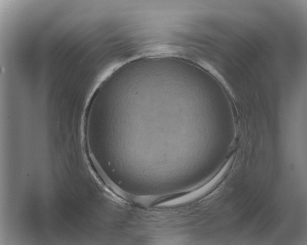 X0000062621477200601040952