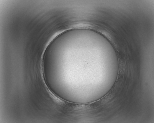 X0000062621478200601040952