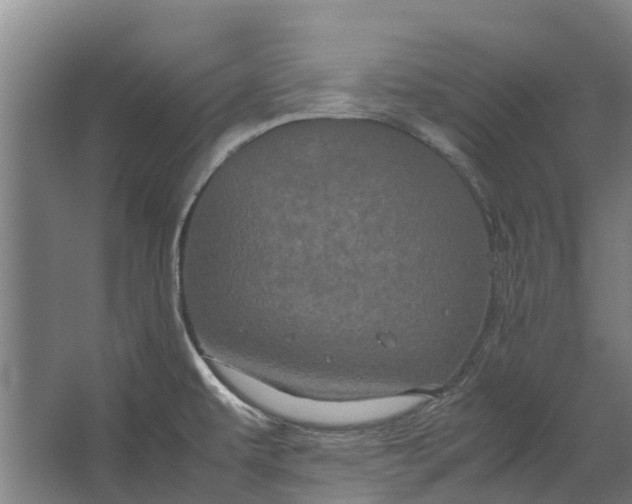 X0000062621479200601040952