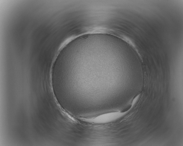 X0000062621480200601040952