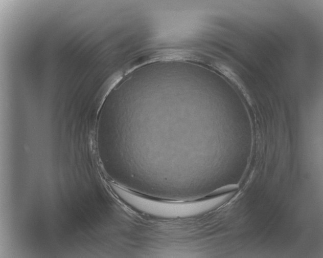 X0000062621481200601040952