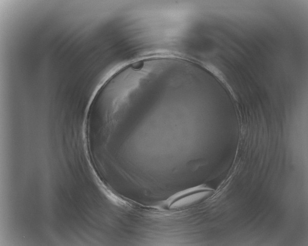 X0000062621482200601040952