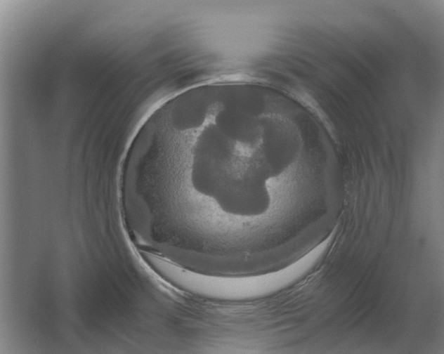 X0000062621483200601040952