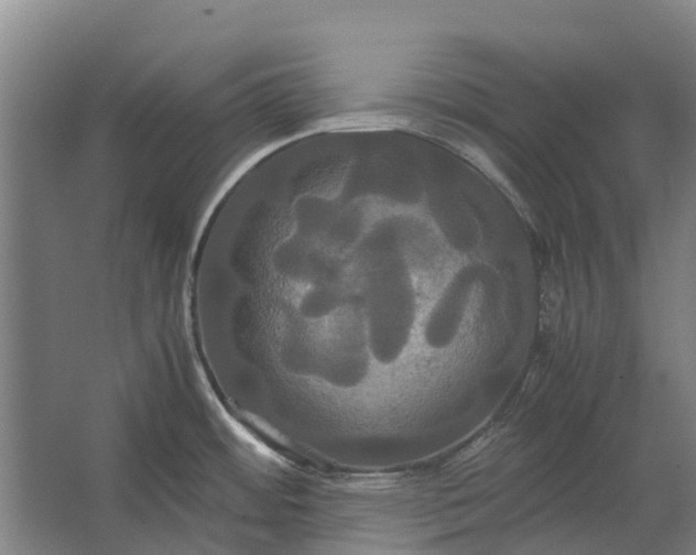 X0000062621484200601040952