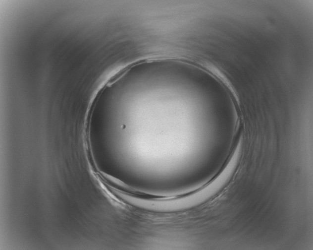 X0000062621485200601040952