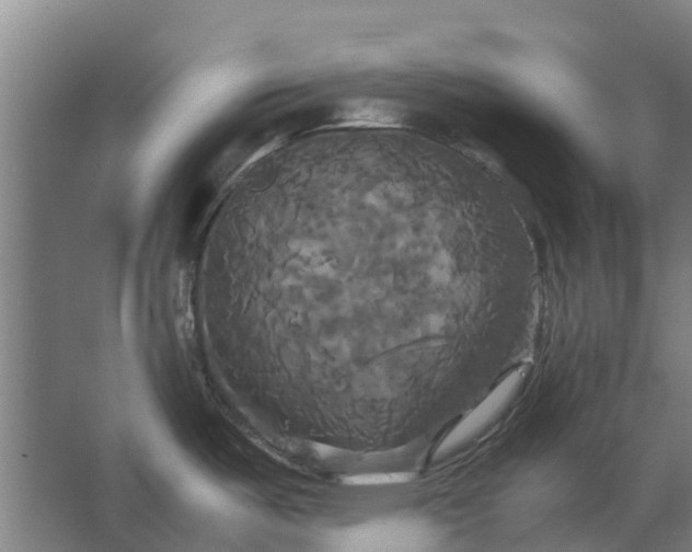 X0000062621487200601040952