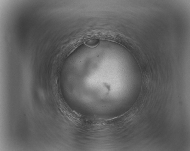 X0000062621489200601040951