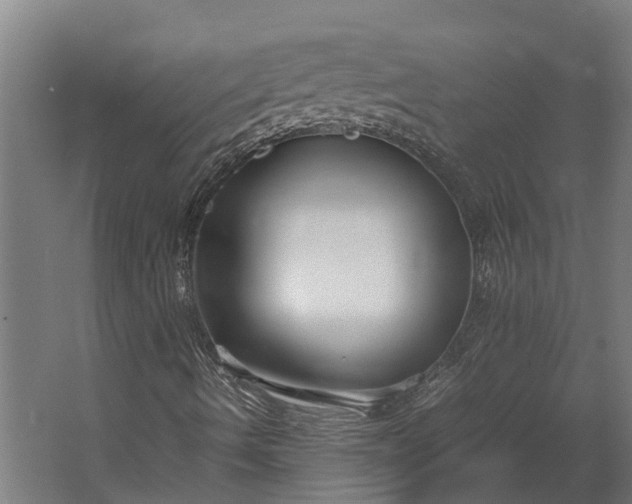 X0000062621490200601040951