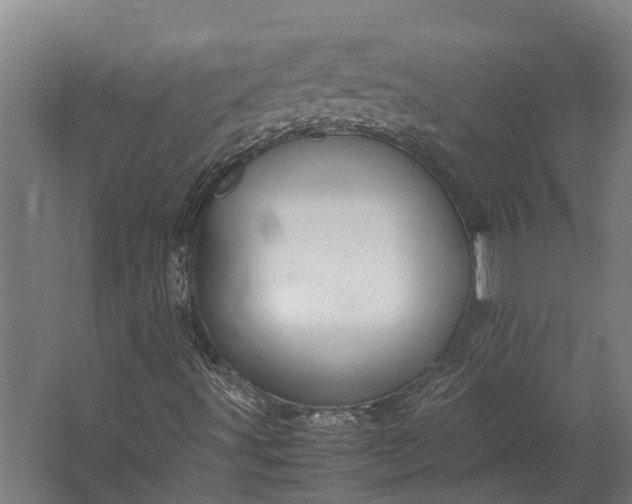 X0000062621491200601040951