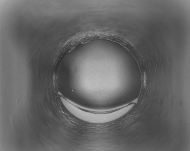 X0000062621492200601040951