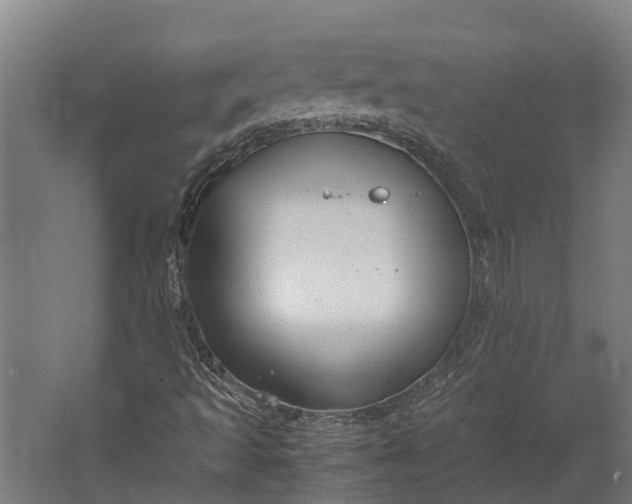 X0000062621493200601040951