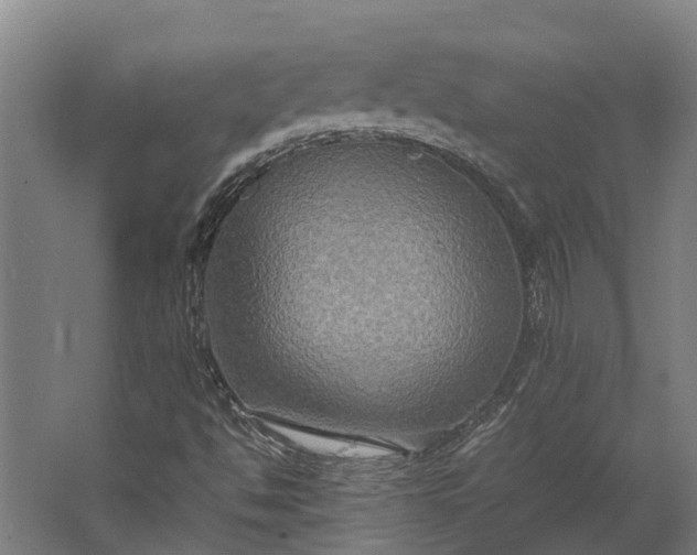 X0000062621494200601040951