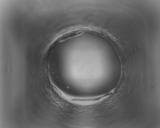 X0000062621496200601040951