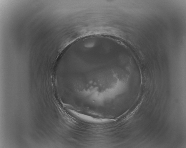 X0000062621497200601040951