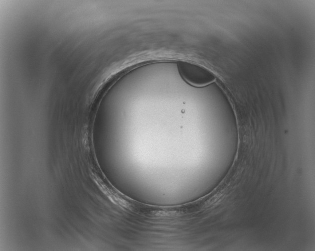 X0000062621499200601040951