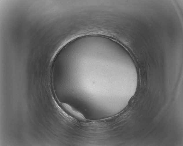 X0000062621500200601040951