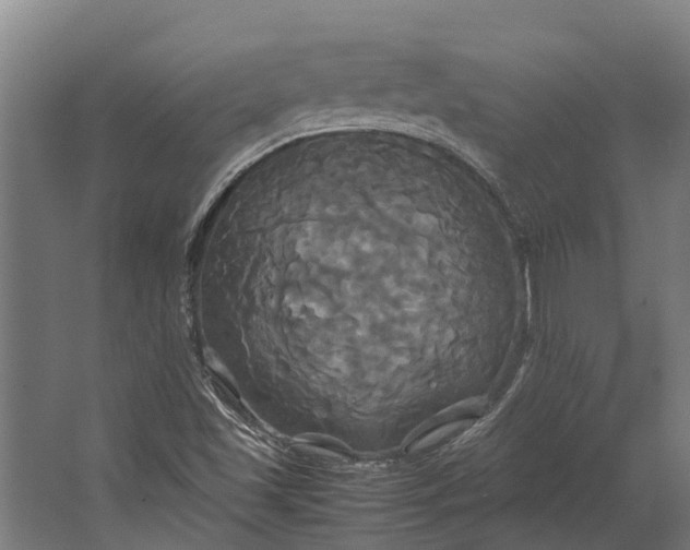 X0000062621501200601040951