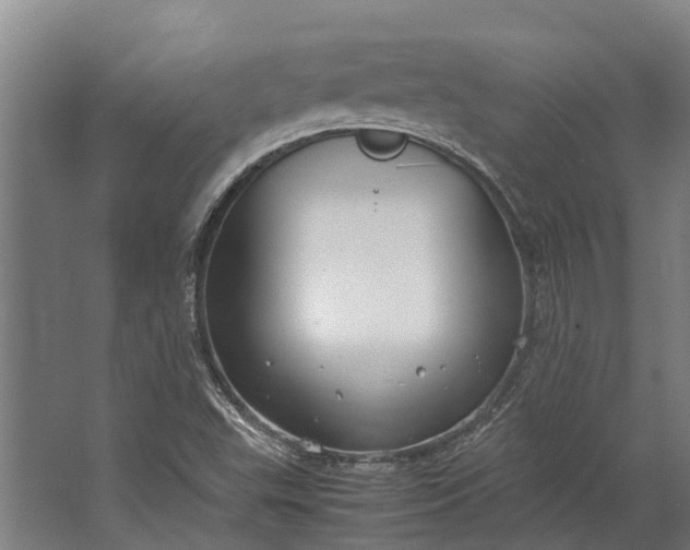 X0000062621503200601040951