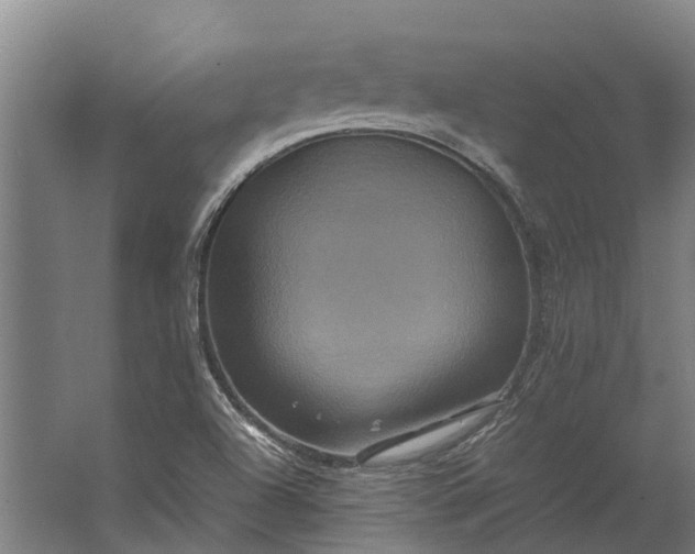 X0000062621504200601040952