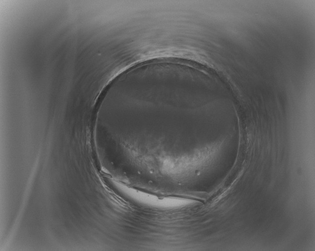 X0000062621505200601040952