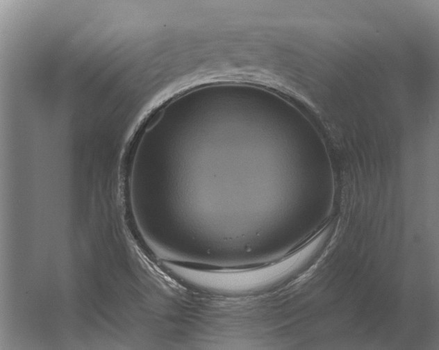 X0000062621506200601040952