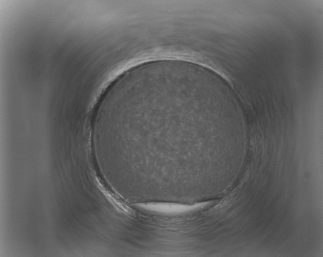 X0000062621507200601040952