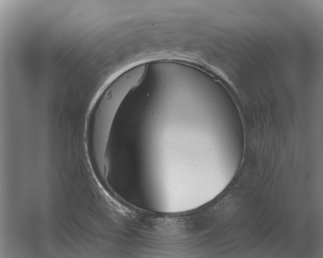 X0000062621508200601040952