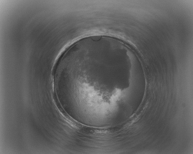 X0000062621509200601040952