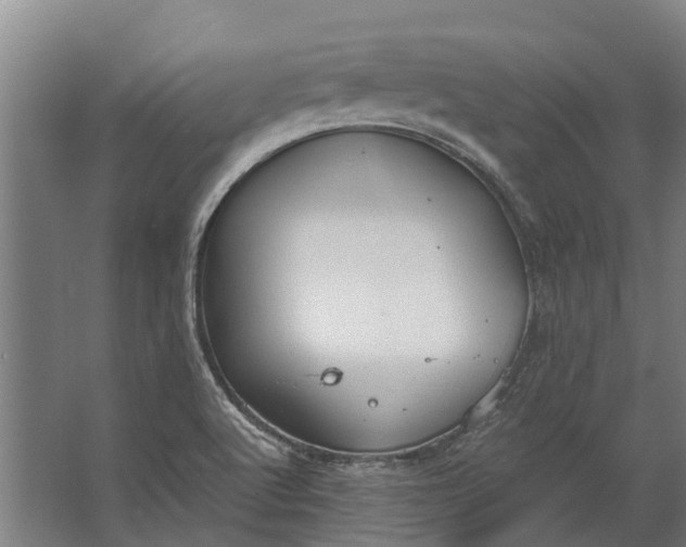 X0000062621512200601040952