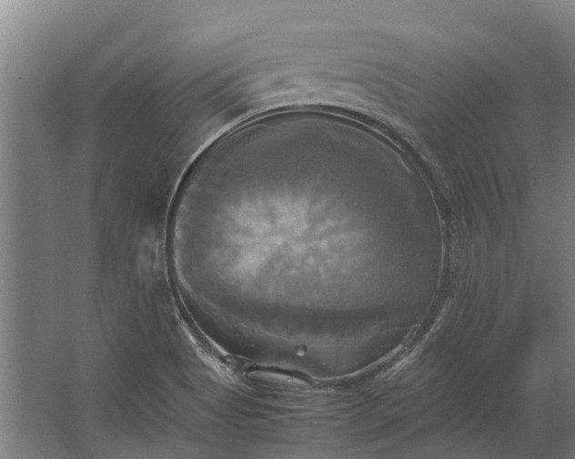 X0000062621513200601040952