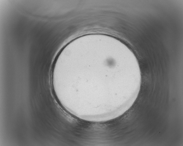 X0000062621514200601040952