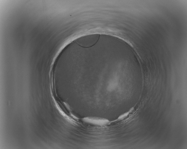 X0000062621515200601040952