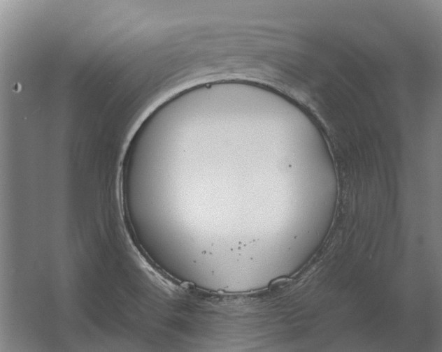 X0000062621516200601040952