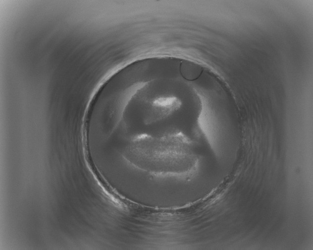 X0000062621517200601040952