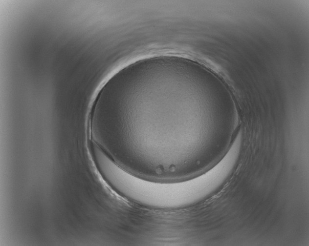 X0000062621520200601040952