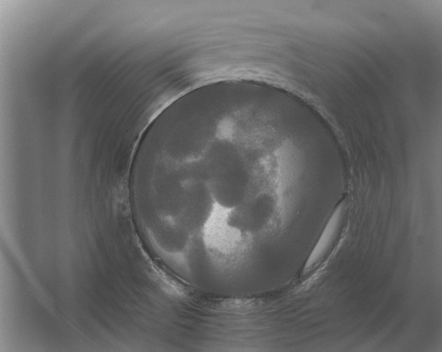 X0000062621521200601040952