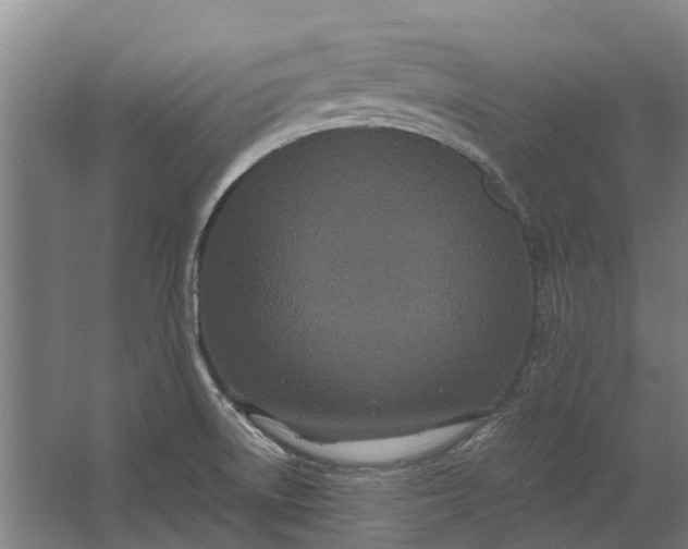 X0000062621522200601040952