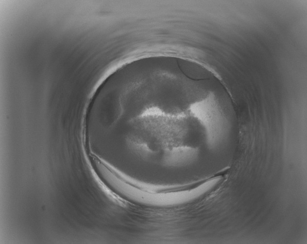 X0000062621523200601040952