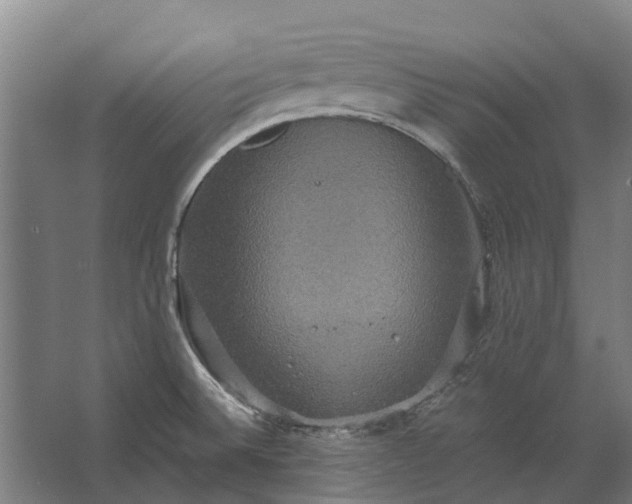 X0000062621524200601040952