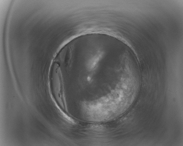 X0000062621525200601040952