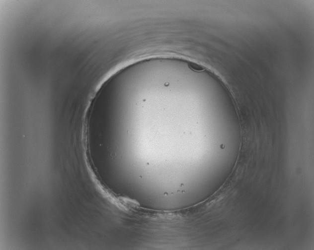 X0000062621526200601040952