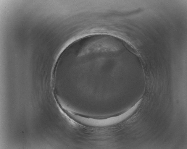 X0000062621527200601040952