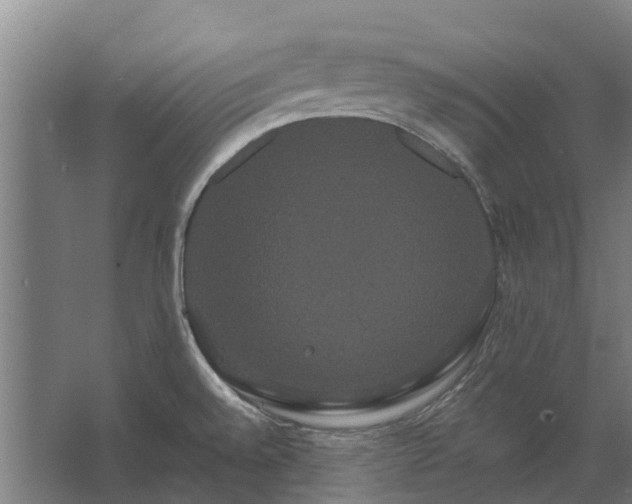 X0000062621528200601040952