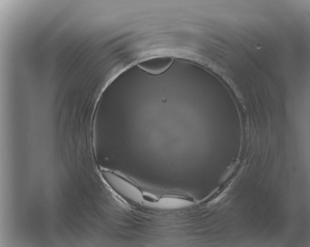 X0000062621529200601040952