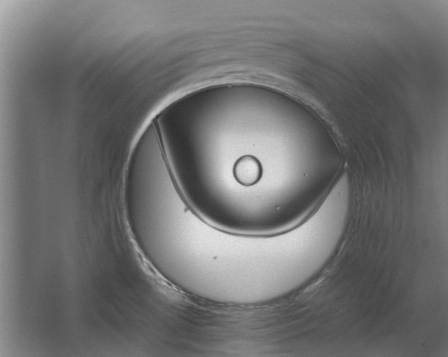 X0000062621530200601040952